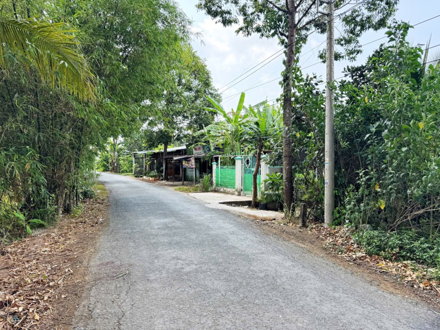 Bán 230m2 đất mặt tiền Lộ Cái Chanh